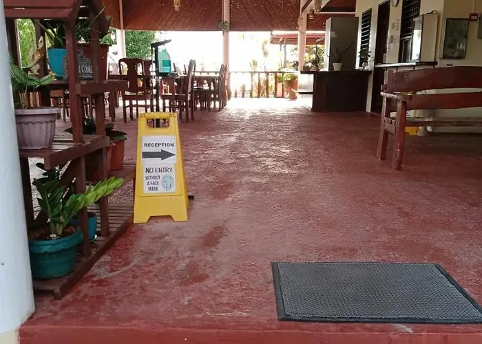 Bonita Oasis