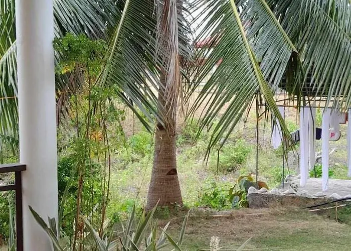 Resort Bonita Oasis Moalboal
